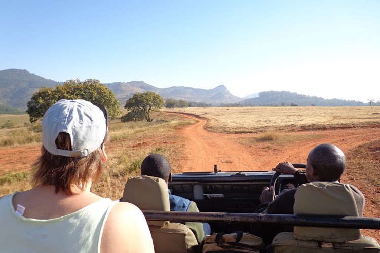 Op safari in eSwatini